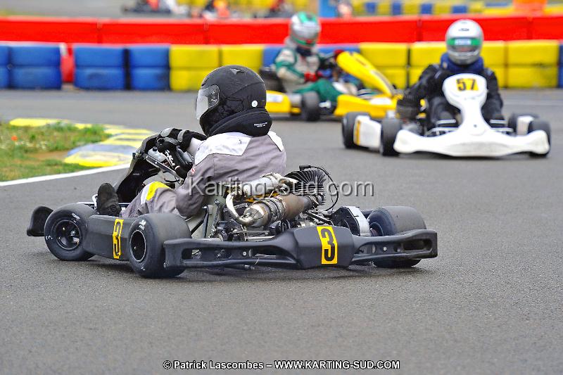 DSC_ (915).jpg